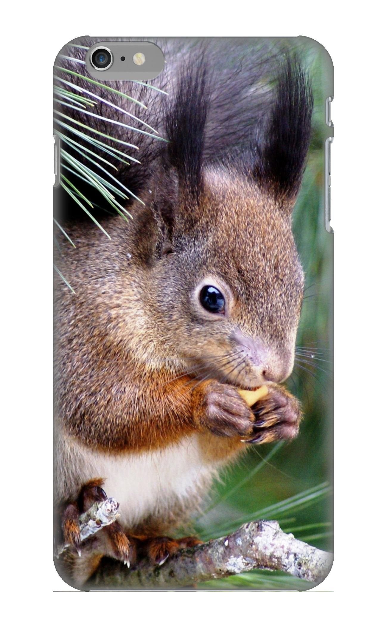 Shakespeare Quick Connect 3' Vhf Antenna Chrome Ferrule